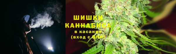 дмт Алзамай