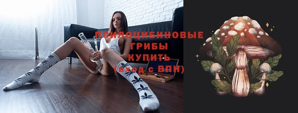 амф Алексеевка