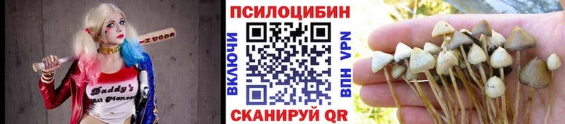 гидра ONION Красавино Псилоцибиновые грибы Magic Shrooms где продают